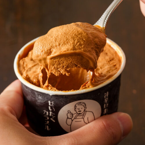 専用アイスグリーム+ラババイト 33-500x500.jpg